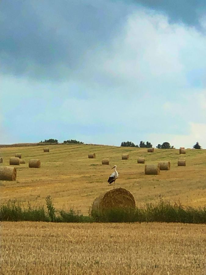 Agroturystyka „Nadbuzanski Swit” Wola Uhruska Εξωτερικό φωτογραφία